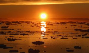 Excess heat has continued to be trapped by greenhouse gases and 93% warms the oceans. Photograph: Joe Raedle/Getty Images